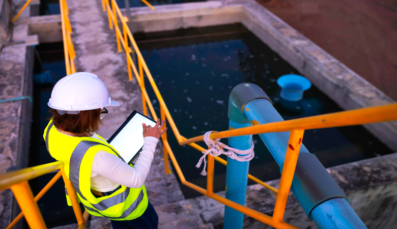 FORMULACIÓN Y GESTIÓN DE PROYECTOS DE AGUA Y SANEAMIENTO RURAL