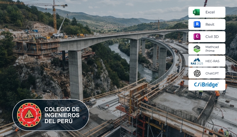 DISEÑO INTEGRAL DE PUENTES DE CONCRETO ARMADO Y PRESFORZADO